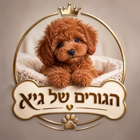 הגורים של גיא